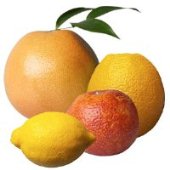 citrus2